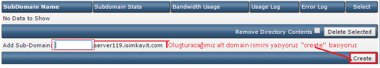 DirectAdmin Yeni Subdomain Oluşturma