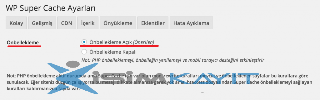 wordpress hızlandırma